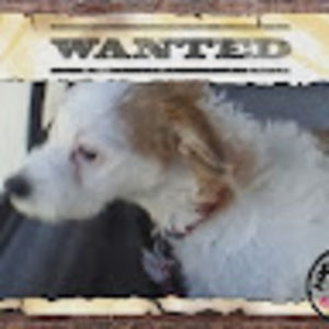 Meet your Posher, Mikayla